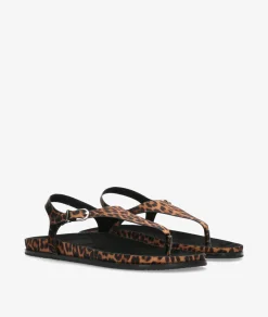 Mujer pabloochoa.shoes Sandalias CORINA M6419 en leopardo