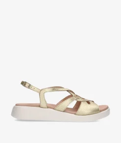 Mujer Wonders Sandalias C-6550 en platino